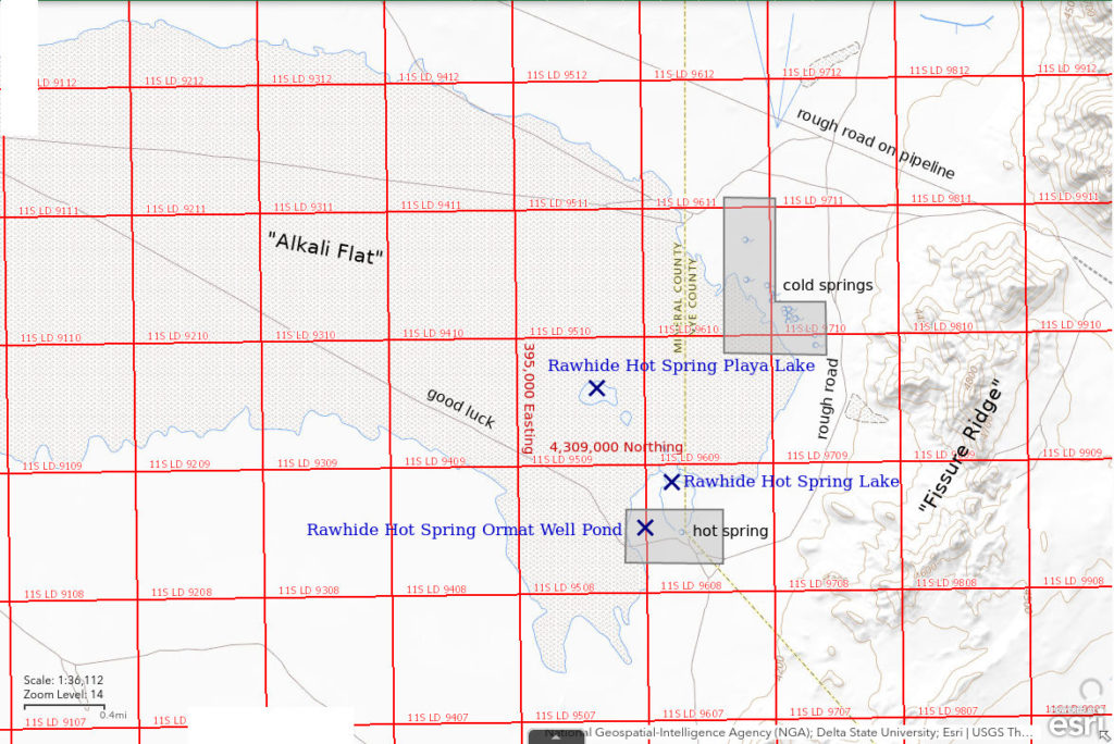 Topographic Map of Rawhide Hot Spring Playa Lake and nearby ponds; The National Map with contours, roads, perennial/ephemeral water bodies, forest cover, marsh, UTM grid, private land