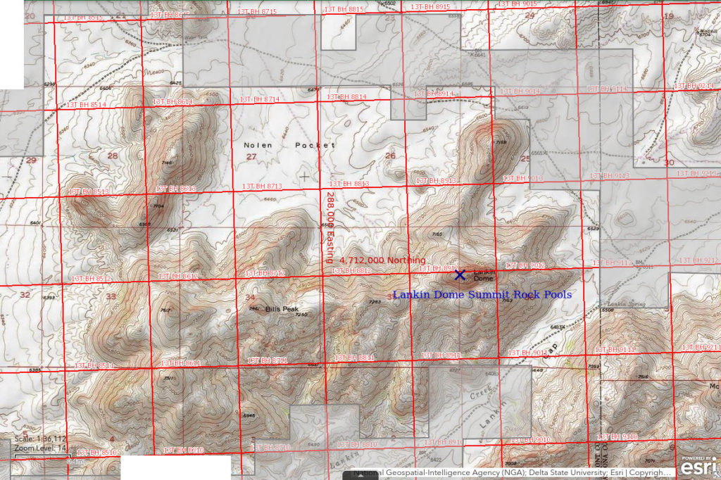 Topographic Map of Lankin Dome Summit Rock Pools; The National Map with contours, roads, perennial/ephemeral water bodies, forest cover, marsh, UTM grid, private land