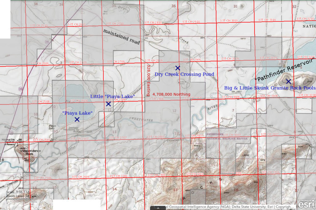 Topographic Map of "Piaya Lake" and Nearby Ponds; The National Map with contours, roads, perennial/ephemeral water bodies, forest cover, marsh, UTM grid, private land