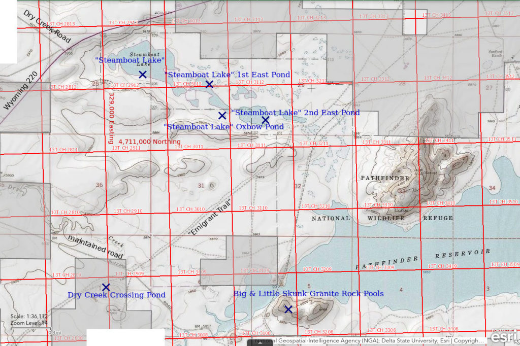 Topographic Map of "Steamboat Lake" and Nearby Ponds; The National Map with contours, roads, perennial/ephemeral water bodies, forest cover, marsh, UTM grid, private land