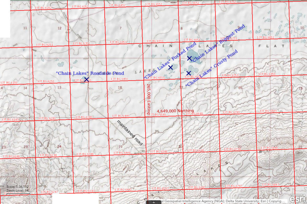 Topographic Map of "Chain Lakes" Roadside Pond and Nearby Ponds; The National Map with contours, roads, perennial/ephemeral water bodies, forest cover, marsh, UTM grid, private land