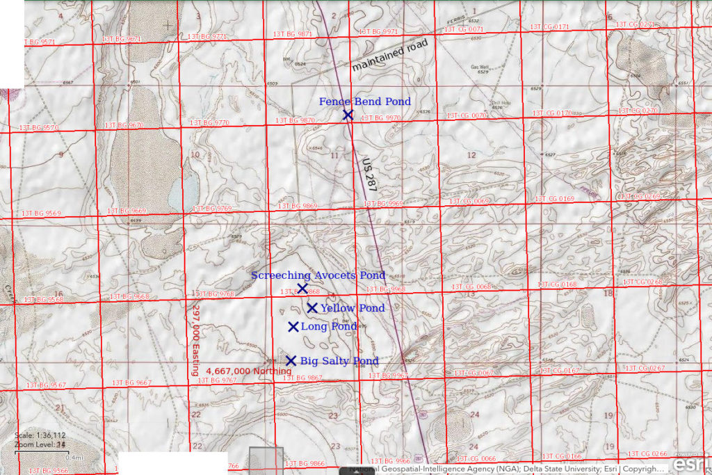 Topographic Map of Fence Bend Pond and Nearby Ponds; The National Map with contours, roads, perennial/ephemeral water bodies, forest cover, marsh, UTM grid, private land