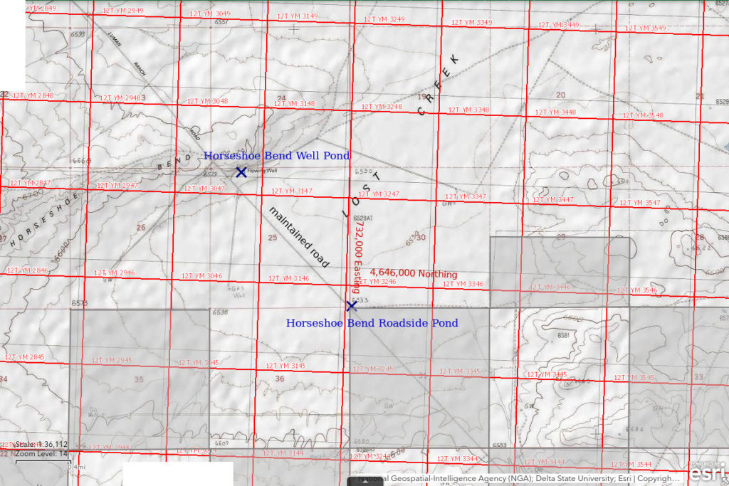 Topographic Map of Horseshoe Bend Well Pond and Horseshoe Bend Roadside Pond; The National Map with contours, roads, perennial/ephemeral water bodies, forest cover, marsh, UTM grid, private land