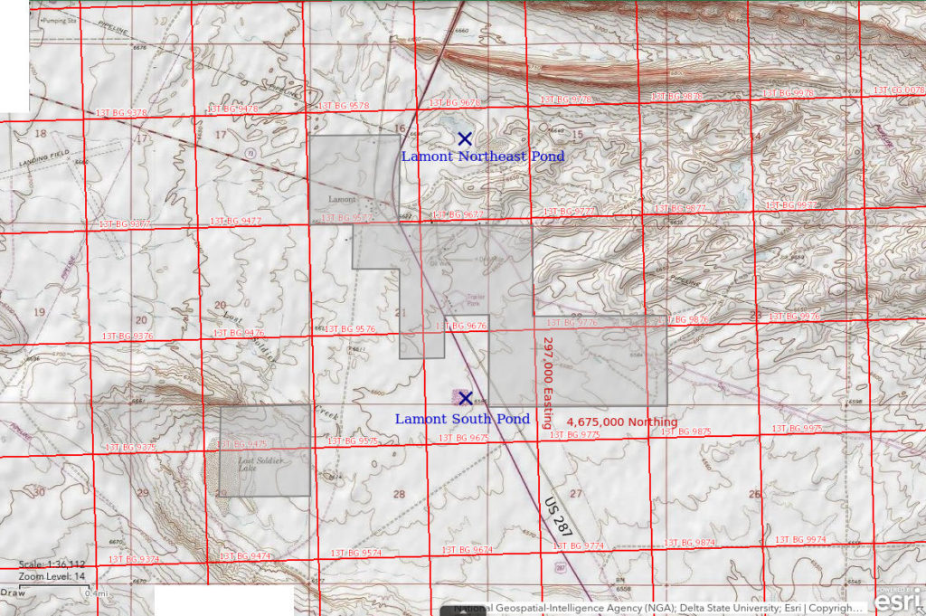 Topographic Map of Lamont South Pond and Lamont Northeast Pond; The National Map with contours, roads, perennial/ephemeral water bodies, forest cover, marsh, UTM grid, private land