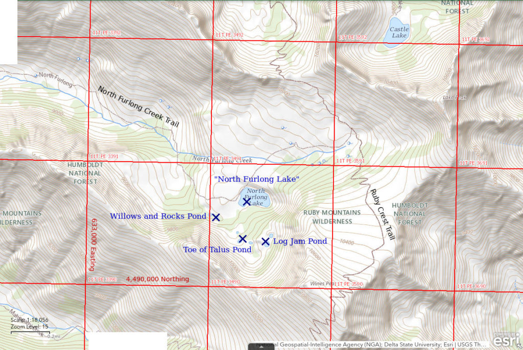 Topographic Map of "North Furlong Lake" and Nearby Ponds; The National Map with contours, roads, perennial/ephemeral water bodies, forest cover, marsh, UTM grid, private land