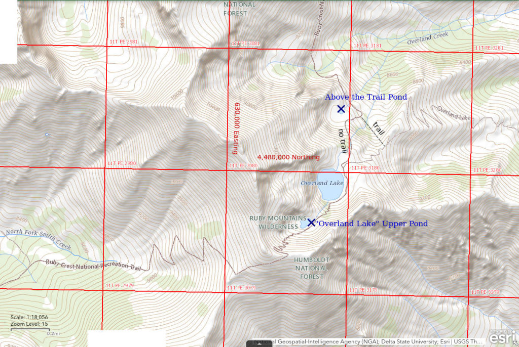 Topographic Map of 