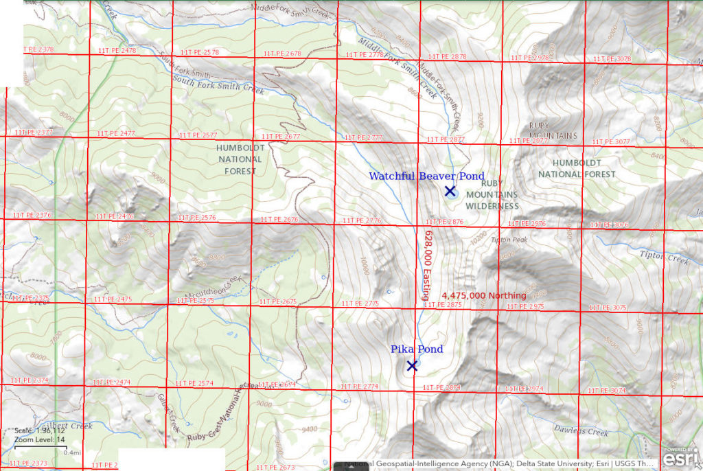 Topographic Map of Watchful Beaver Pond and Pika Pond; The National Map with contours, roads, perennial/ephemeral water bodies, forest cover, marsh, UTM grid, private land