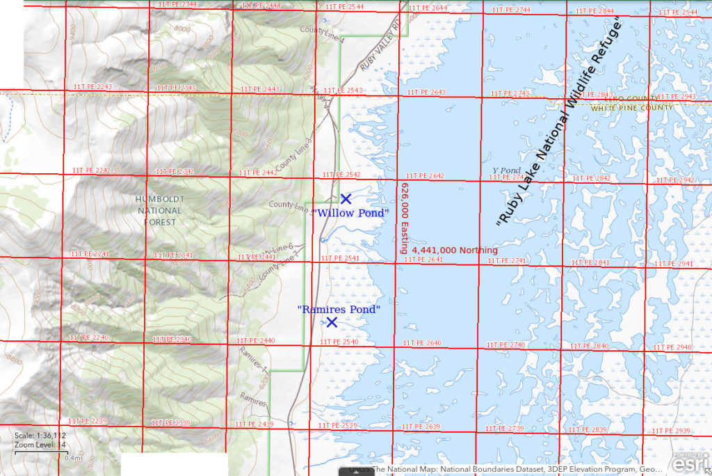 Topographic Map of "Ramires Pond" and "Willow Pond"; The National Map with contours, roads, perennial/ephemeral water bodies, forest cover, marsh, UTM grid, private land