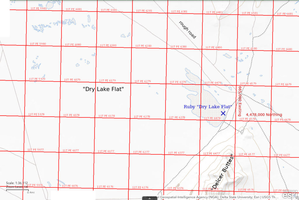 Topographic Map of Ruby "Dry Lake Flat"; The National Map with contours, roads, perennial/ephemeral water bodies, forest cover, marsh, UTM grid, private land