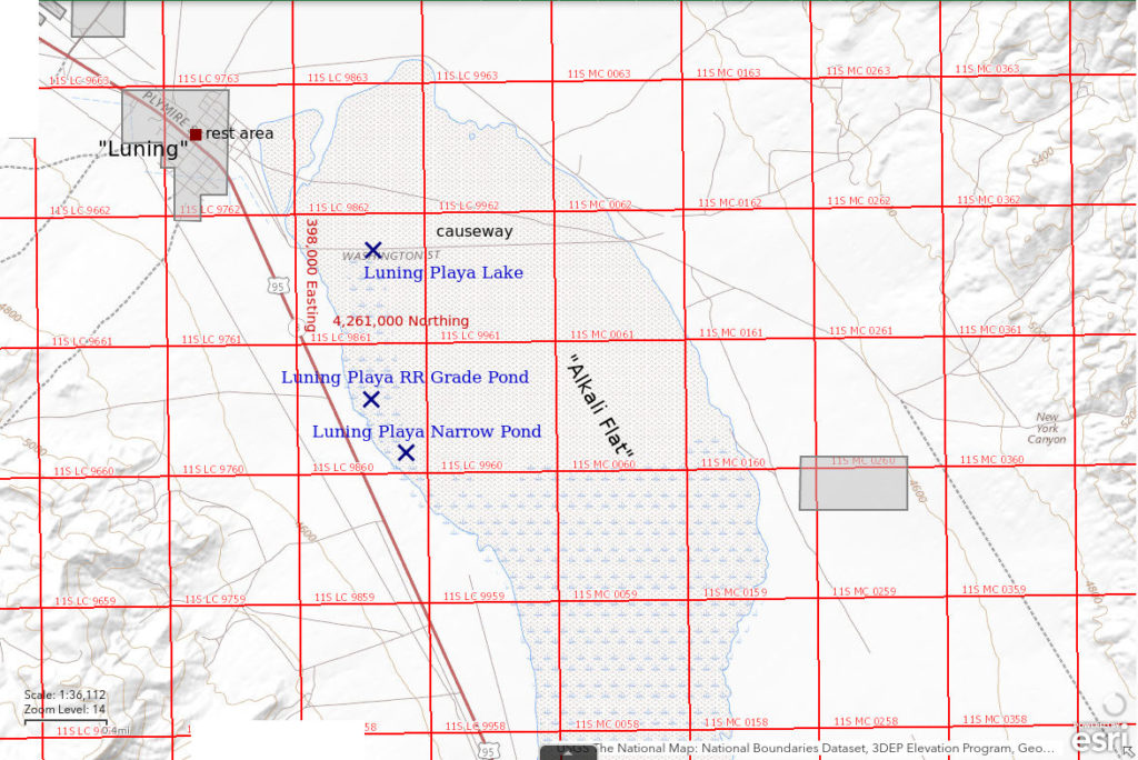 Topographic Map of Luning Playa Lake and Nearby Ponds; The National Map with contours, roads, perennial/ephemeral water bodies, forest cover, marsh, UTM grid, private land