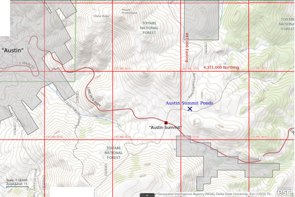 Topographic Map of Austin Summit Ponds; The National Map with contours, roads, perennial/ephemeral water bodies, forest cover, marsh, UTM grid, private land