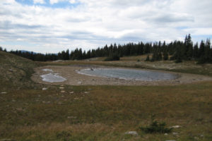 Scenic view of "Arrowhead Lake" Southwest Pond 2010-09-01, #175; has fairy shrimp; Brush Creek - Hayden Ranger District, Medicine Bow-Routt National Forest