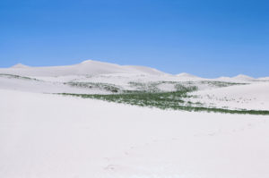 Scenic view of Killpecker Dunes 1987-06-19, #2512; Rock Springs BLM Office