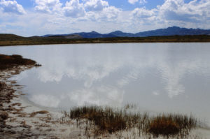 Scenic view of Little "Piaya Lake" 1989-06-08, #0323, with Independence Rock in distance; has fairy shrimp; private land