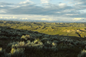 Scenic view of Bighorn Basin from Nowater Trail 1993-06-01, #0403; Worland BLM Office