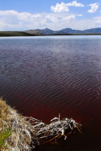 Scenic view of "Piaya Lake" 1989-06-08, #0321, with Independence Rock in distance; has fairy shrimp; private land