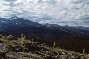 Scenic view from Roaring Fork Mountain 1989-08, #1133, with Wind River Peak and Lizard Head; Lander Ranger District, Shoshone National Forest, Popo Agie Wilderness