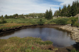 Scenic view of "Shelf Lakes" North Ponds 2010-09-01, #171; has fairy shrimp, Brush Creek - Hayden Ranger District, Medicine Bow-Routt National Forest