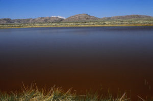 Scenic view of "Soda Lakes" Far Eastern Pond 1989-06-09, #0333; has fairy shrimp; Lander BLM Office