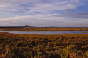 Scenic view of "Steamboat Lake" 1989-06-07, #0218; has fairy shrimp; Pathfinder National Wildlife Refuge