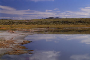 Scenic view of "Steamboat Lake" 2nd East Pond 1989-06-07, #0202; has fairy shrimp, with avocets; Pathfinder National Wildlife Refuge