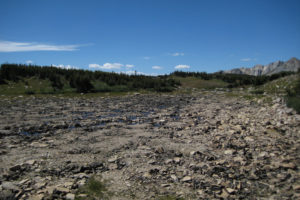 Scenic view of String of 3 East Pond 2010-09-01, #165; has fairy shrimp; Laramie Ranger District, Medicine Bow-Routt National Forest