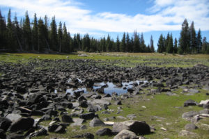 Scenic view of "Telephone Lakes" East Pond 2010-09-01, #160; has fairy shrimp, Laramie Ranger District, Medicine Bow-Routt National Forest