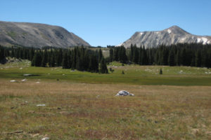 Scenic view of The Gap 2010-08-25, #082; Brush Creek - Hayden Ranger District, Medicine Bow-Routt National Forest