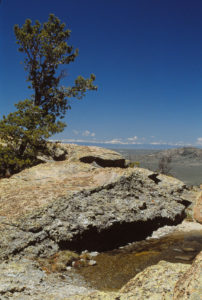 Scenic view of West Tin Cup Summit Rock Pool 1989-06-10, #0404; has fairy shrimp; Lander BLM Office