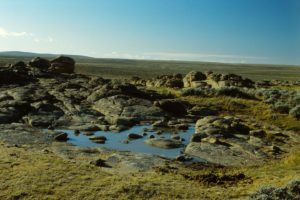 Scenic view of Wild Horse Rock Pool 1987-08-16, #3510; has fairy shrimp; Lander BLM Office