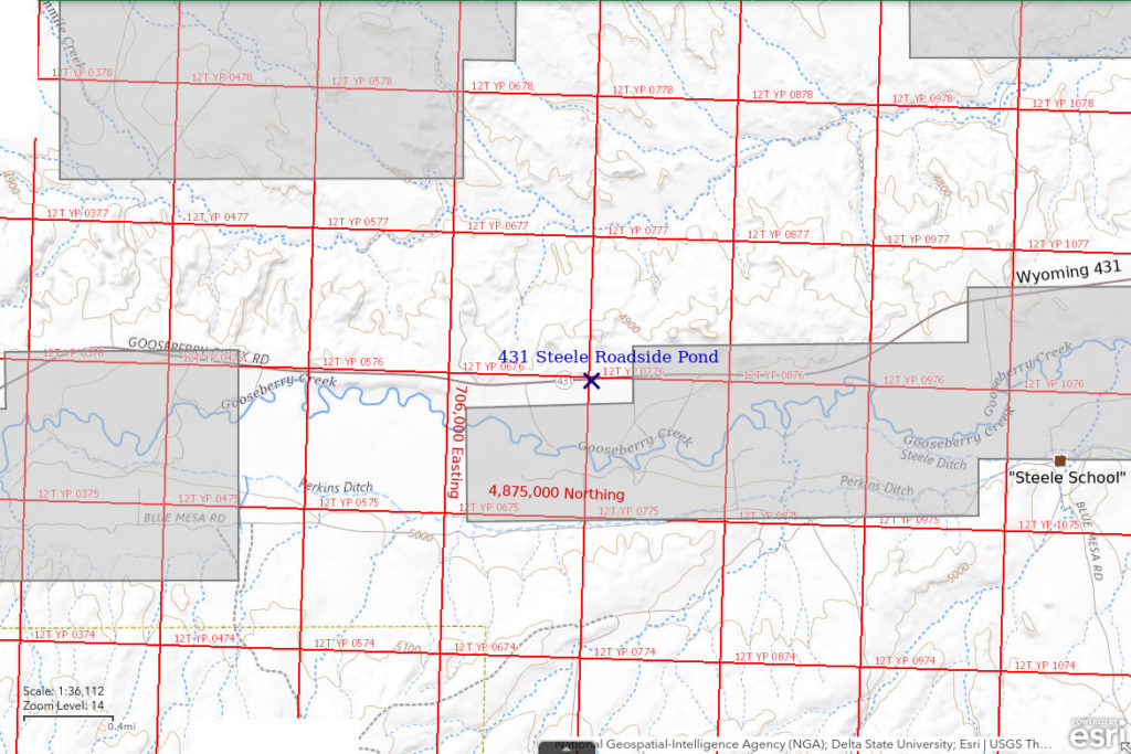 Topographic Map of 431 Steele Roadside Pond; The National Map with contours, roads, perennial/ephemeral water bodies, forest cover, marsh, UTM grid, private land