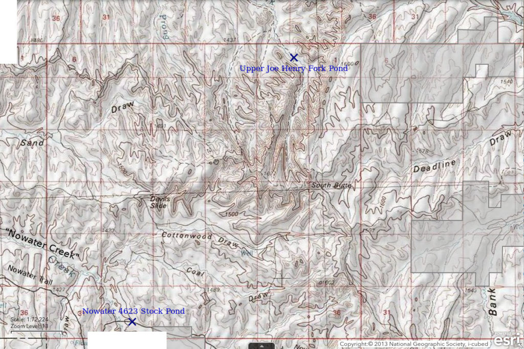 Topographic Map of Upper Joe Henry Fork Pond; The National Map with contours, roads, perennial/ephemeral water bodies, forest cover, marsh, private land