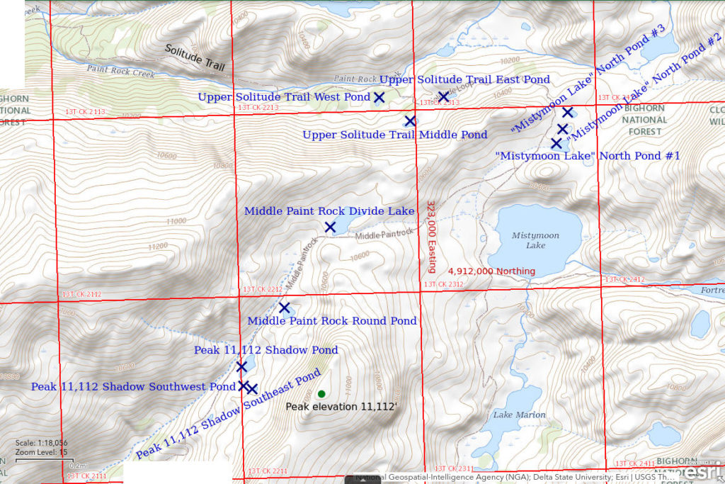 Topographic Map of Peak 11,112 Shadow Pond and Nearby Ponds; The National Map with contours, roads, perennial/ephemeral water bodies, forest cover, marsh, UTM grid, private land