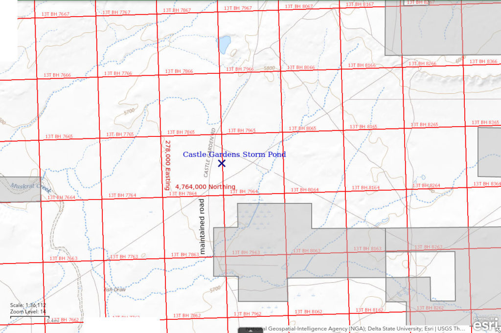 Topographic Map of Castle Gardens Storm Pond; The National Map with contours, roads, perennial/ephemeral water bodies, forest cover, marsh, UTM grid, private land