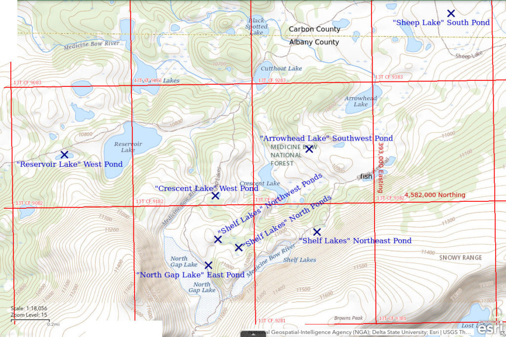 Topographic