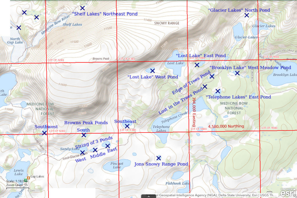 Topographic