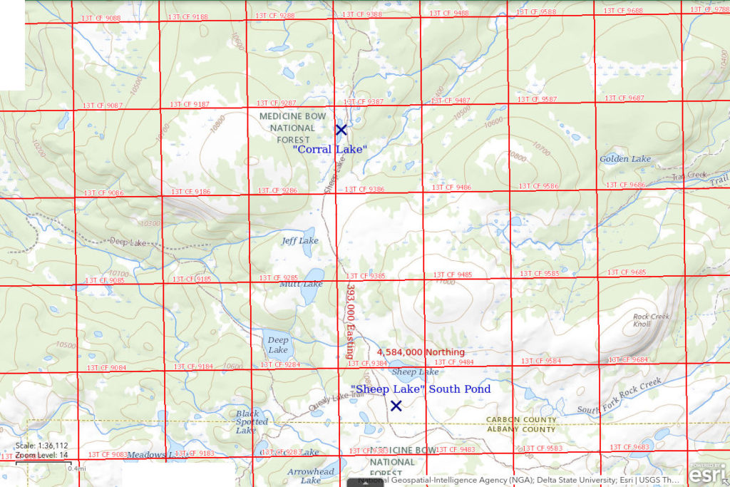 Topographic Map of "Sheep Lake" South Pond and "Corral Lake"; The National Map with contours, roads, perennial/ephemeral water bodies, forest cover, marsh, UTM grid, private land