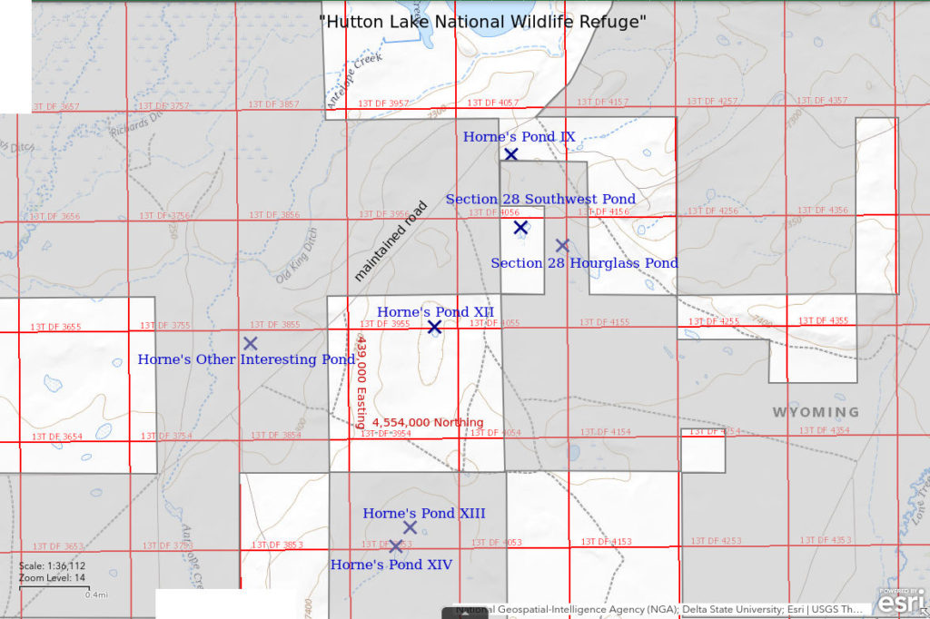 Topographic Map of Horne's Pond IX and Nearby Ponds; The National Map with contours, roads, perennial/ephemeral water bodies, forest cover, marsh, UTM grid, private land