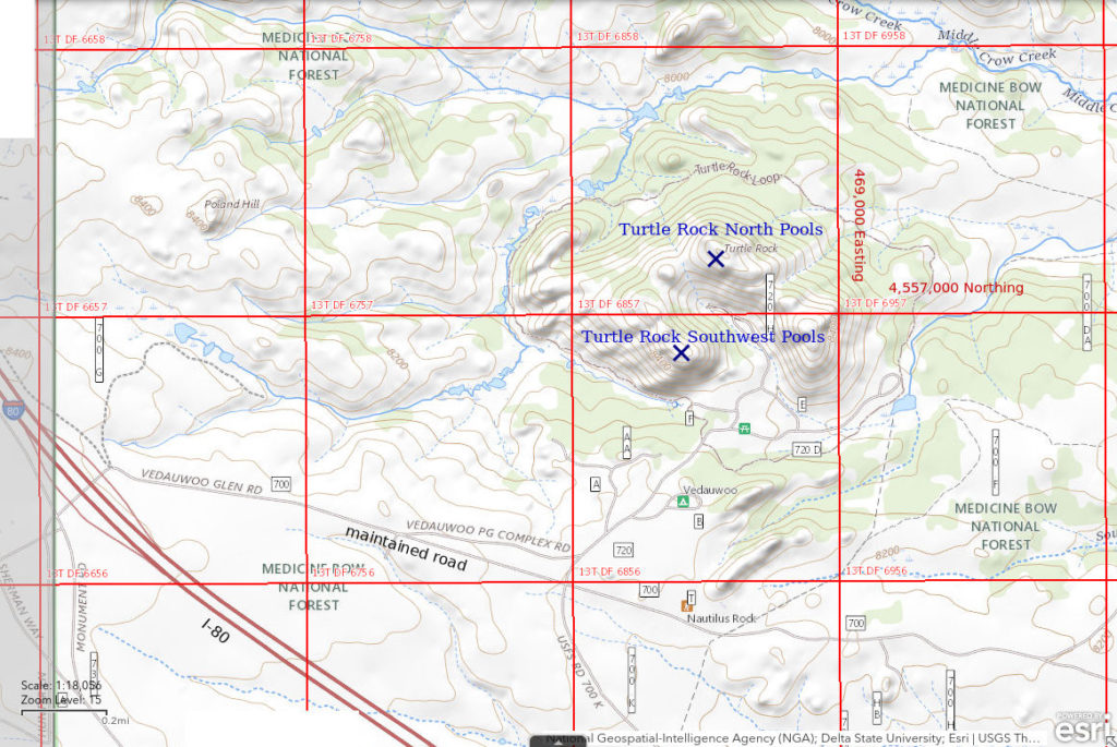 Topographic Map of Turtle Rock Southwest Pools and Turtle Rock North Pools; The National Map with contours, roads, perennial/ephemeral water bodies, forest cover, marsh, UTM grid, private land