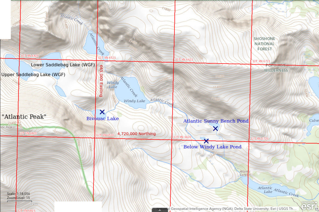 Topographic Map of Bivouac Lake and Nearby Ponds; The National Map with contours, roads, perennial/ephemeral water bodies, forest cover, marsh, UTM grid, private land