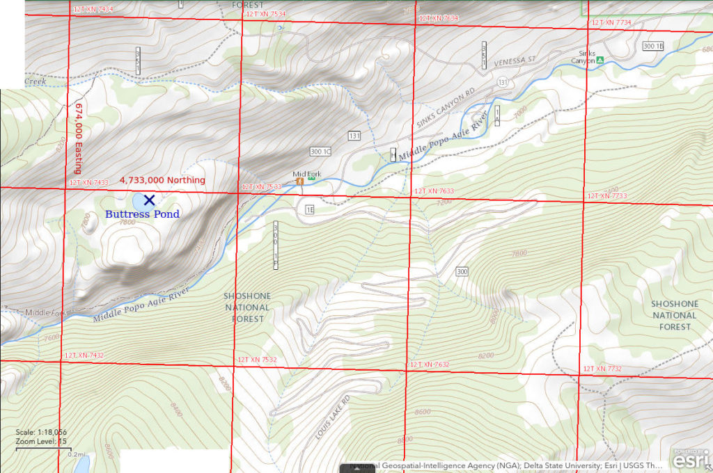 Topographic Map of Buttress Pond; The National Map with contours, roads, perennial/ephemeral water bodies, forest cover, marsh, UTM grid, private land