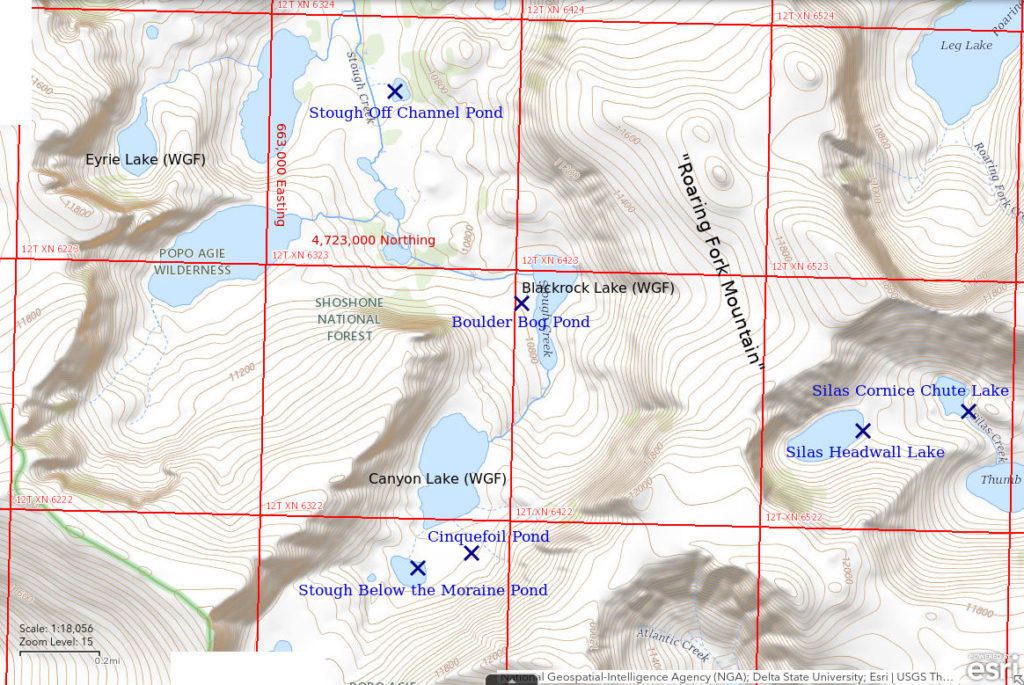 Topographic Map of Cinquefoil Pond and Nearby Ponds; The National Map with contours, roads, perennial/ephemeral water bodies, forest cover, marsh, UTM grid, private land