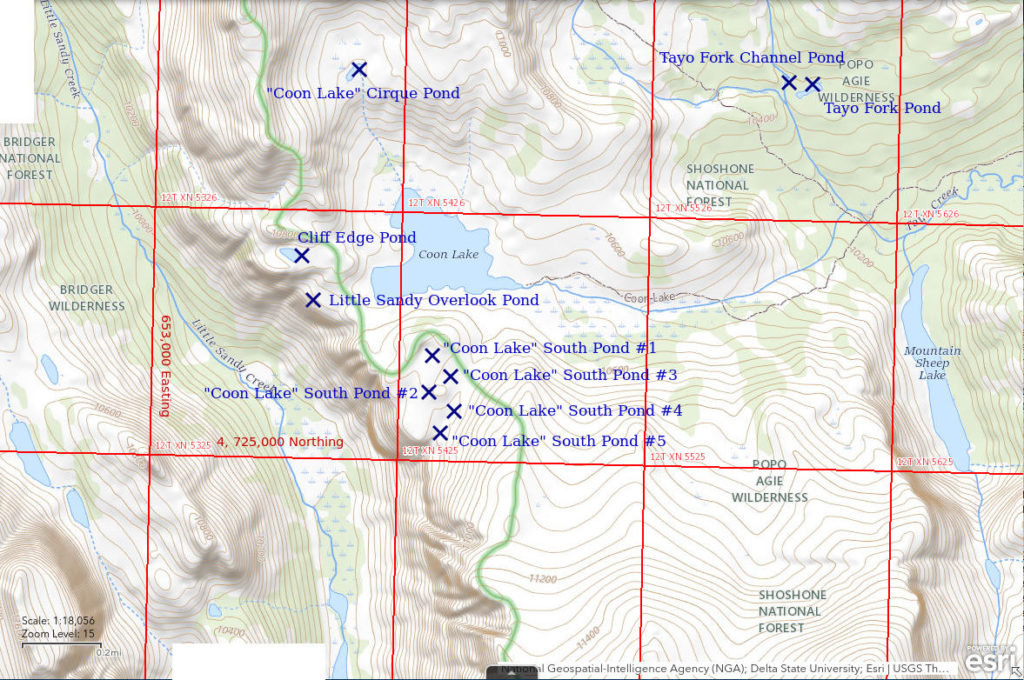 Topographic Map of Little Sandy Overlook Pond and Nearby Ponds; The National Map with contours, roads, perennial/ephemeral water bodies, forest cover, marsh, UTM grid, private land