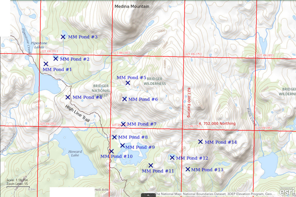 Topographic Map of Medina Mountain Ponds 1 through 14; The National Map with contours, roads, perennial/ephemeral water bodies, forest cover, marsh, UTM grid, private land