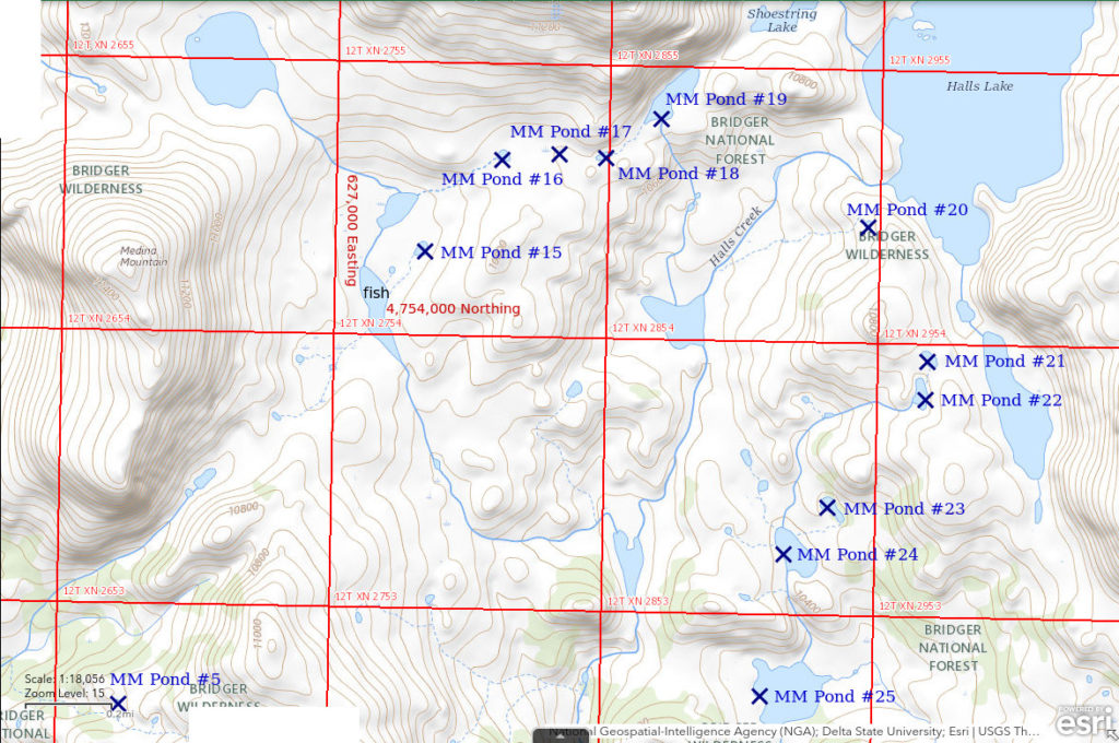 Topographic Map of Medina Mountain Ponds 15 through 25; The National Map with contours, roads, perennial/ephemeral water bodies, forest cover, marsh, UTM grid, private land