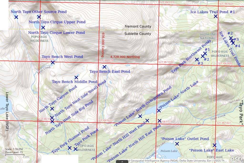 Topographic Map of Wind River Peak Ponds in Tayo Creek Drainage; The National Map with contours, roads, perennial/ephemeral water bodies, forest cover, marsh, UTM grid, private land