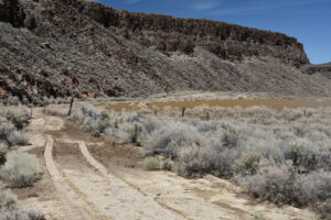 Scenic view of Box Canyon Pond 2023-04-16, #04; has fairy shrimp; Tonopah BLM Office