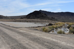 Scenic view of East Stone Cabin Corral Pond 2023-04-16, #02; has fairy shrimp; Tonopah BLM Office