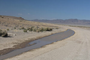 Scenic view of East Stone Cabin Road Pond 2023-04-16, #05; has fairy shrimp; Tonopah BLM Office