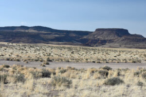 Scenic view of Little Cliff Ridge Long Pond 2023-04-14, #09; dry; Tonopah BLM Office